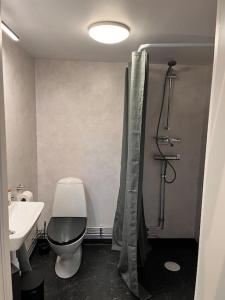 法尔肯贝里Araya Svensson’s Guest House的浴室配有卫生间、盥洗盆和淋浴。