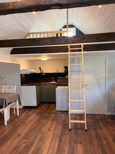 法尔肯贝里Araya Svensson’s Guest House的带梯子的厨房内的一张高架床