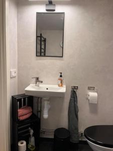 法尔肯贝里Araya Svensson’s Guest House的浴室设有水槽和墙上的镜子