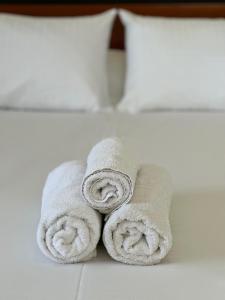 里科索翁帕戈尼斯公寓酒店的床上的一大堆毛巾