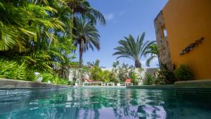 波拉马尔Libert Hotel的棕榈树屋前的游泳池