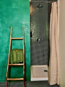 米兰Imperial Terrace suite的绿色浴室设有梯子和淋浴