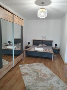 克拉约瓦Regim hotelier - AP2camCentral的一间卧室配有一张床和一面大镜子