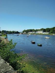 纽波特Moorings Greenway的河里河里,水里有船