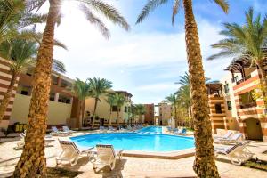 加利布港Port Ghalib Marina Residence Suites的一个带棕榈树和躺椅的度假游泳池
