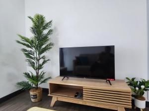 班吉Bunga Rampai Homestay, Vista Bangi的木架上的电视,客厅里放着植物