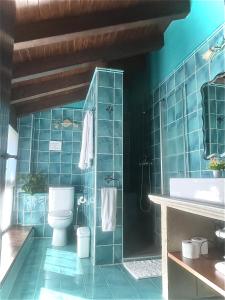LezaAgroturismo el Encuentro的蓝色瓷砖浴室设有卫生间和水槽