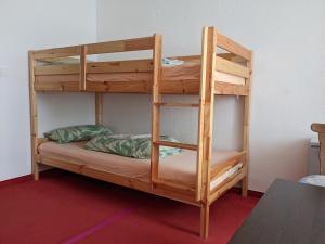 特拉本特拉巴赫Monkey Factory - Mini Home-Stay Hostel的一张木制双层床,在房间内配有梯子