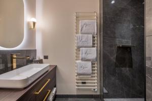 里昂Les Suites de l'Ile Barbe的浴室配有盥洗盆、淋浴和毛巾