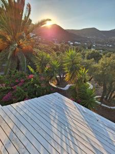 普拉提伊亚洛斯西弗诺斯Elisso Villas的棕榈树和日落的房子屋顶
