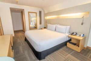 波哥大波哥大索内斯特酒店的配有一张大床和镜子的酒店客房