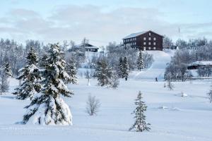 Venabygd维纳布费耶尔酒店的一片覆盖着树木的雪地和一座建筑