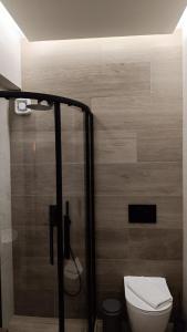 纳弗帕克托斯Vallia Suites-Green Luxury Suite A3的一间带卫生间和淋浴间的浴室
