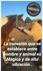 默西迪丝Casa de campo的杂志的海报,上面有一匹马的照片
