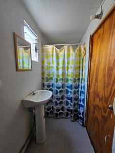 科皮亚波valle的一间带水槽和淋浴帘的浴室