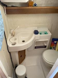 奥良Veleiro Senhora Brava的一间带水槽和卫生间的小浴室