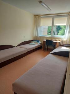 RietavasVšĮ Veiklus Rietavas apgyvendinimas的一间卧室设有两张床、一张桌子和一个窗口