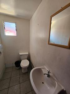 科皮亚波el valle的一间带水槽、卫生间和镜子的浴室