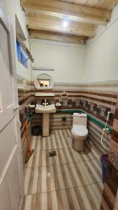 罕萨Karakorum Family Guest House Hunza的一间带卫生间和水槽的浴室