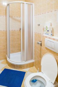 蔻提彻诺瓦霍斯科赛德洛公寓酒店的带淋浴、卫生间和蓝色地毯的浴室