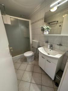 拉斯托伏Apartments Marija的浴室配有卫生间、盥洗盆和淋浴。
