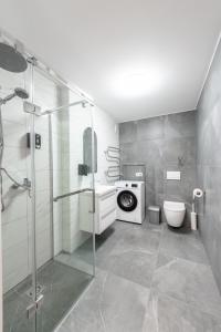 RadviliškisStiklo Apartamentai的带淋浴和洗衣机的浴室
