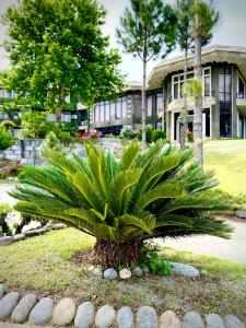 MingoraRock City Resort的房屋前的棕榈树