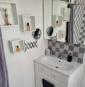 巴黎Appartement entier - Paris 12的一间带水槽和镜子的浴室