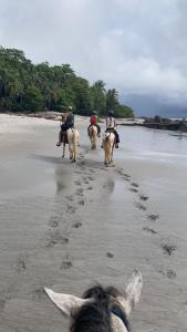蒙特苏马Mi casita的一群人在海滩上骑马