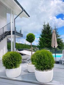 布克维be be Chalet - premium jacuzi & private pool的庭院里三个种满树木的白盆和一个遮阳伞