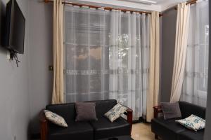 WakisoCozy Apartment Entebbe的带沙发和窗户的客厅