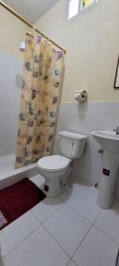 巴克里索莫雷诺港CASA FRAGATA的一间带卫生间和水槽的浴室