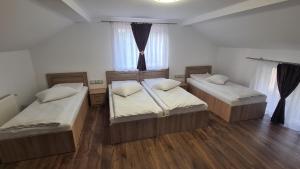 ChişcăuPensiunea Anisoara的配有木地板和窗户的三张床