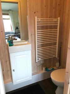 史云顿Quirky cosy rural hideaway的一间带卫生间、水槽和镜子的浴室