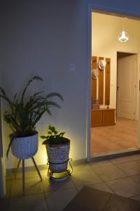 哈尔基斯ΆLthea Apartment的两个盆栽植物坐在走廊的台上