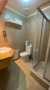 瓦尔迪维亚Hotel Costanera - Caja Los Andes的浴室配有卫生间、盥洗盆和淋浴。