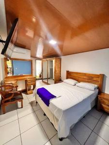 马那瓜Casa Tierra Viva的一间卧室配有一张大床和一张书桌