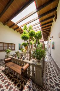 墨西哥城Meztli: Casa Boutique & Spa的客厅配有长凳和盆栽植物