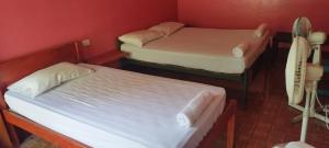 Santo DomingoHostal Inculta的红色墙壁客房中的两张单人床