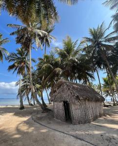 WarsobtuguaCabañas tradicionales en isla Aroma的棕榈树和海洋海滩上的小屋