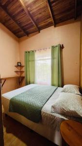 纽沃阿雷纳尔Beautiful Casa Aire near Lake Arenal in Nuevo Arenal - Casas Airelibre的一间卧室配有一张带绿帘的床和窗户