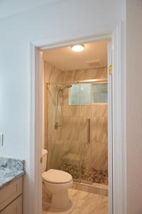 维雷亚South Maui 1 BR Guest Suite - Kamaole Beach Area的一间带卫生间和玻璃淋浴间的浴室