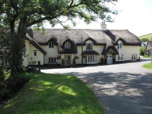 WinsfordThe Royal Oak Exmoor的一座带茅草屋顶的大型白色房屋
