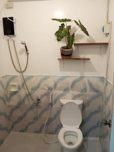 爱妮岛LALUNA COTTAGES的一间带卫生间的浴室和架子上的植物