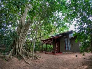 HabawewaWilpattu Mookalan Resort的前面有一棵大树的房子