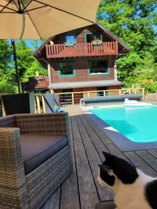 索姆勒兹Le chalet du Cerf - Chambres d'hôtes的坐在游泳池旁甲板上的黑白猫