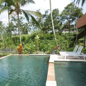 外南梦Pondok isoke bunggalow的一个带两把椅子的游泳池,棕榈树