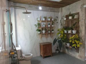 外南梦Pondok isoke bunggalow的一间带卫生间和许多植物的浴室