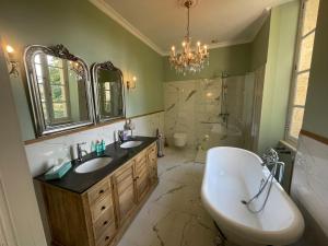 波旁拉尔尚博Chateau du Grand Lucay的一间带两个盥洗盆、淋浴和卫生间的浴室