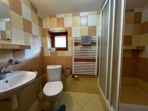 赫拉布斯Penzión Mizuna的浴室配有卫生间、盥洗盆和淋浴。